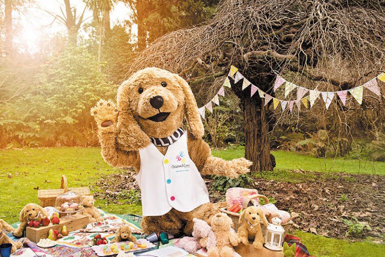Elliot the Childhood Cancer Association Dog having a picnic in a park